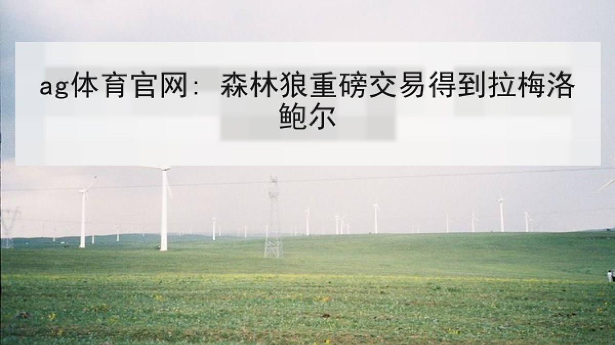 ag体育官网: 森林狼重磅交易得到拉梅洛鲍尔 ag体育官网: 森林狼重磅交易得到拉梅洛鲍尔